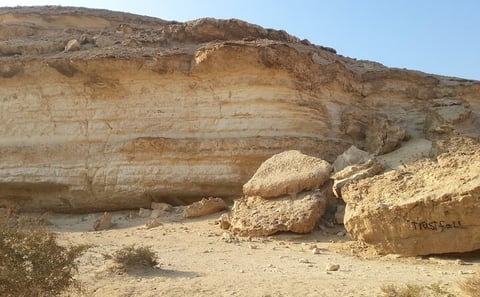 Unusual Day Tour To Wadi Degla Protectorate In Cairo