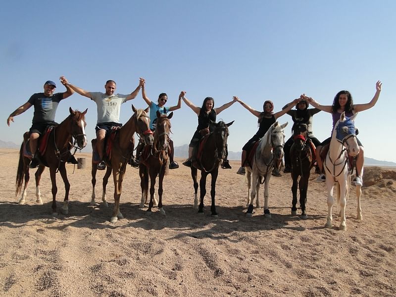 Horse Riding Adventure in the Sharm El Sheikh Desert with Bedouin Experience