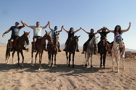 Horse Riding Adventure in the Sharm El Sheikh Desert with Bedouin Experience