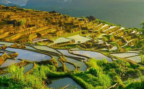 One Day Pu Luong Remote Villages Tour and Waterfall Water Wheels