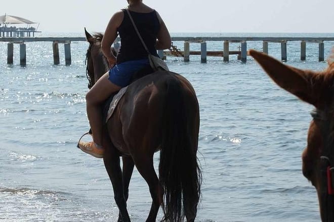 Side horse riding tours