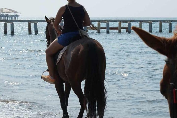 Side horse riding tours