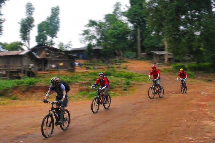 Chiang Mai's Epic Doi Suthep Downhill Mountain Bike Adventure 7