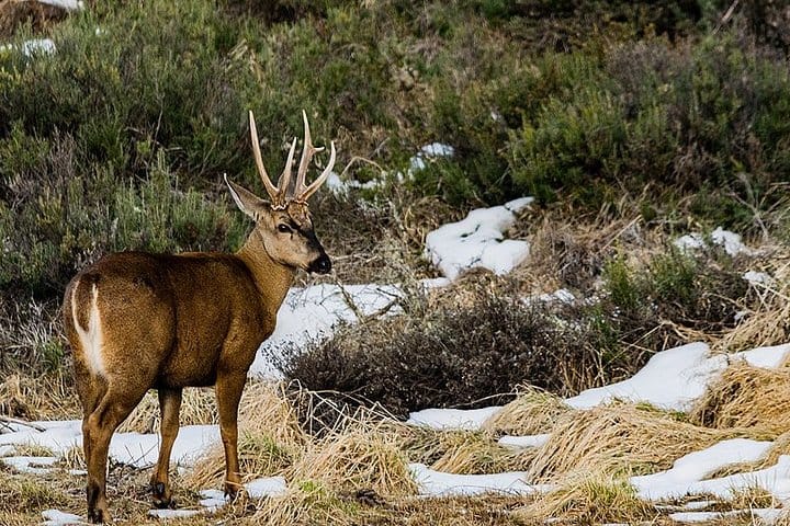 4-Day Atacama Desert Experience with Hotel, Tours & Meals