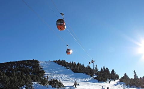 Rila Mountain and Spa Day trip