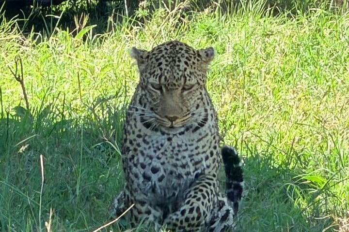 2-Day Masai Mara Safari with Game Drives