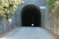 Half Day Tour - Deep and Dark Red Wine of Pelješac 9