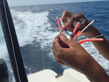 Princess Aurora Barbados Angler Light Fishing Trip