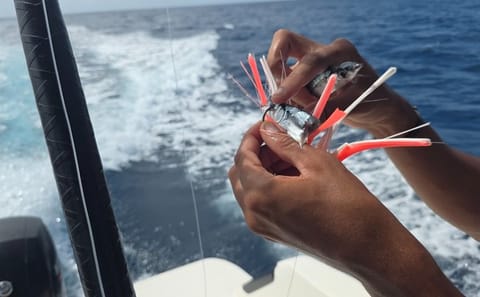 Princess Aurora Barbados Angler Light Fishing Trip