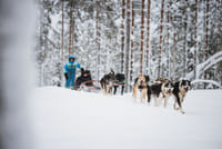 Rovaniemi 2 days of Adventures Package 6