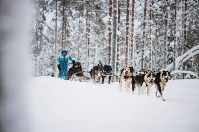 Rovaniemi 2 days of Adventures Package photo 6