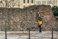 Private Berlin Complete History All Day Tour 3