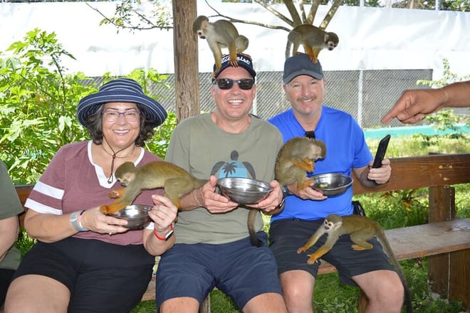 Puerto plata: Waterfalls Monkeys and beach tour Pick up included 3