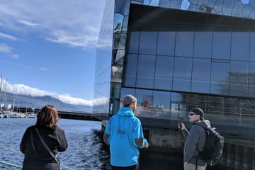 Private Reykjavik Walking Tour – Walk With a Viking