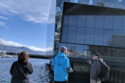 Private Reykjavik Walking Tour – Walk With a Viking