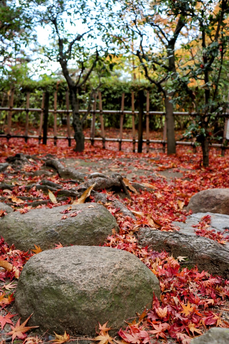 In Heritage home the Sando-Tea, Flowers, Shodo—deeply embody