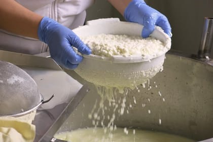 From Paphos: Halloumi Heaven – Cypriot Cheese Making Workshop & Troodos Mountain Villages Tour (7-8hrs)