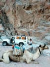 The wonders of Canyons with Camping overnight private from Sharm EL Sheikh 8