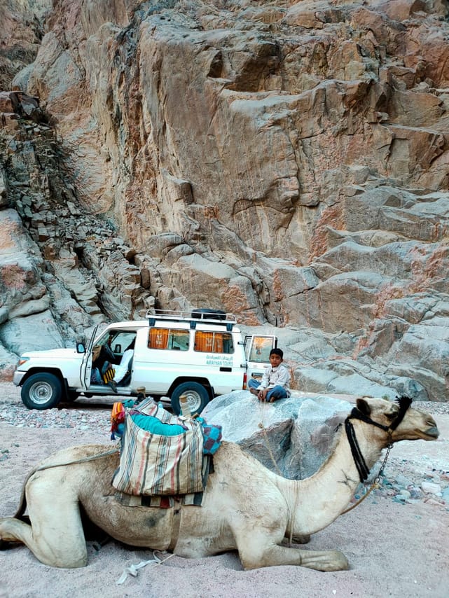 The wonders of Canyons with Camping overnight private from Sharm EL Sheikh 8