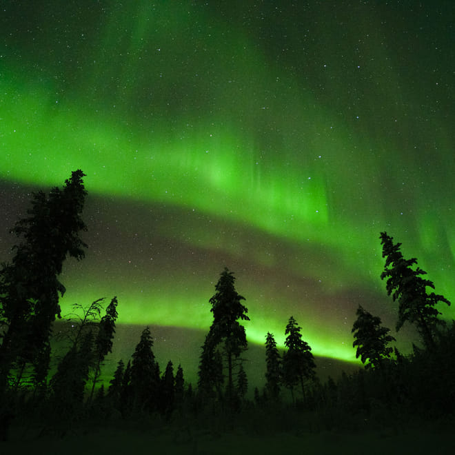 Rovaniemi: Insider Northern lights trip for families