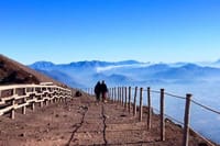 Private Half-Day Sightseeing Tour of Vesuvius National Park 4