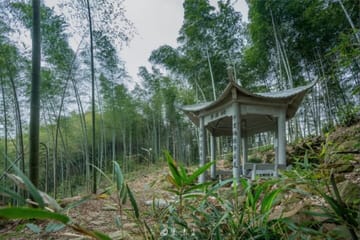 Hiking the Tofu Ancient Trail from Shanghai to Hangzhou