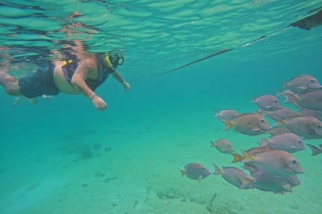 Santuario de tortugas Akumal Snorkel Experiencia marina