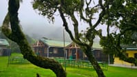 A dark wooden mountain cabin with a green roof, viewed through mossy tree branches in a misty forest.
