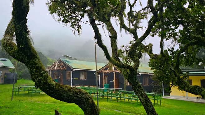 A dark wooden mountain cabin with a green roof, viewed through mossy tree branches in a misty forest.