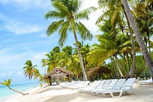 Full day- Saona Island tour From Punta cana all inclusive