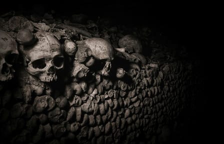Explore the Catacombs of Paris on a Guided Day Tour