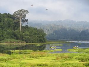 2 Days Tour in Cat Tien National Park