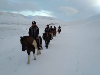 The Viking-Ride- All in One, photo 10