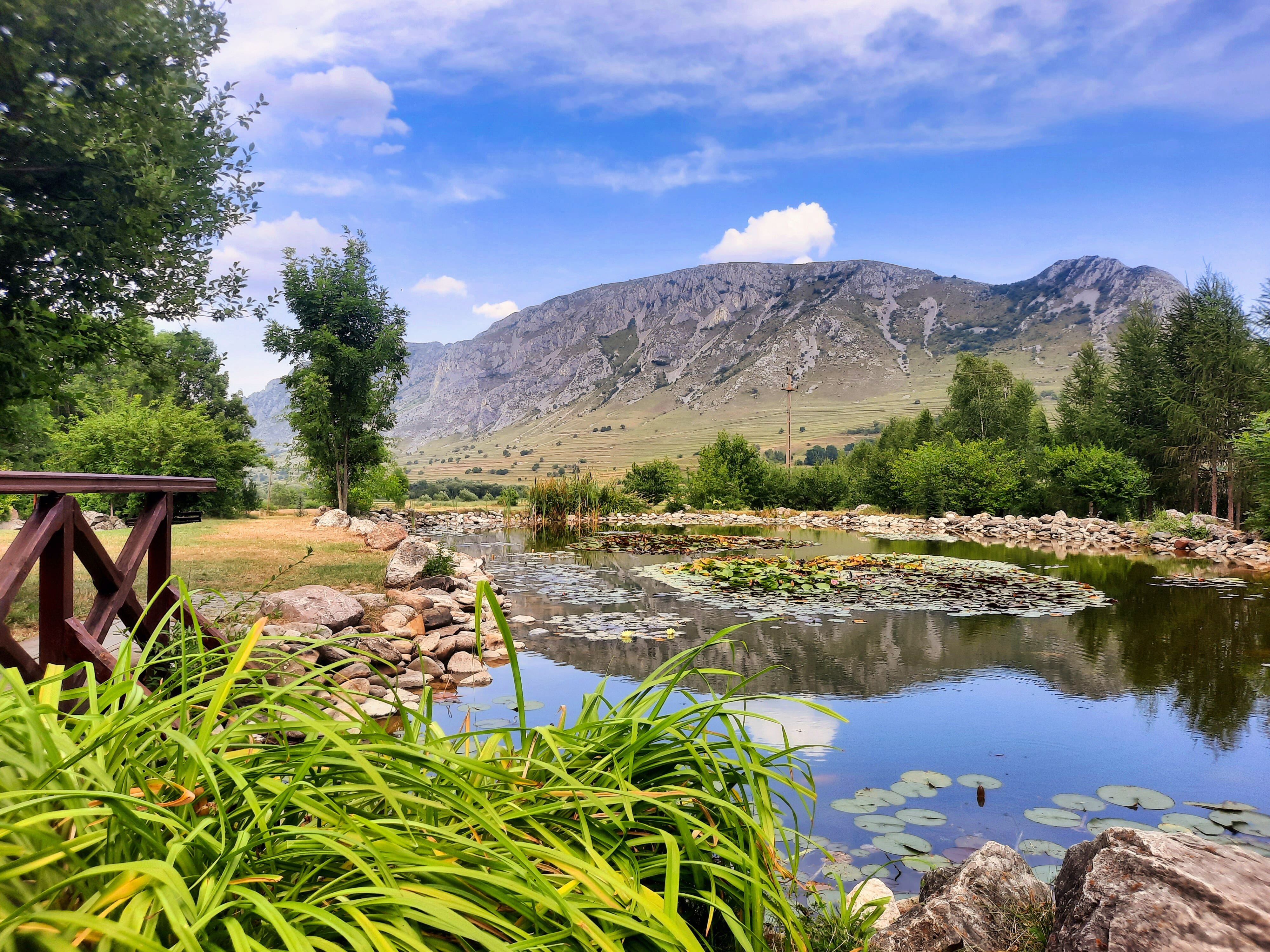 Evening Culinary Experience in Rimetea