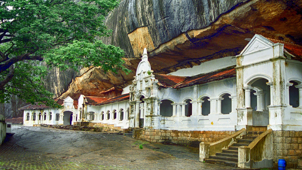 Dambulla & Sigiriya Tour 6