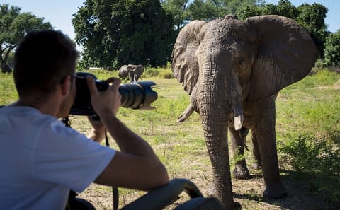 9-Day 4X4 Jeep Safari Adventure in Kenya's Wildlife Reserves