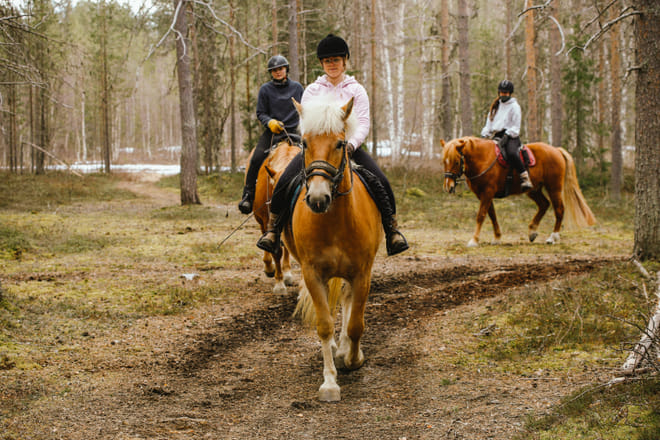Private Horseback Ride