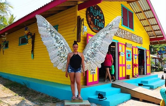 Zipline, Sloths & Monkeys Cruise Family Adventure