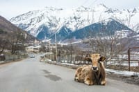 Transfer to Mestia Svaneti 7