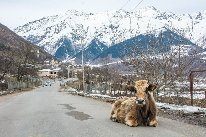 Transfer to Mestia Svaneti 7