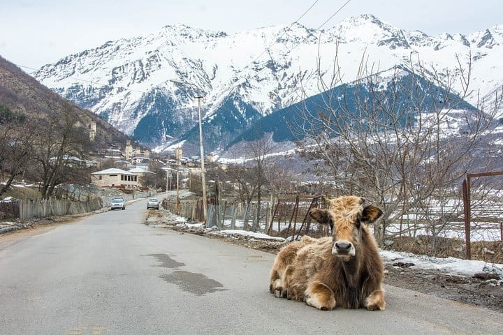 Transfer to Mestia Svaneti 7