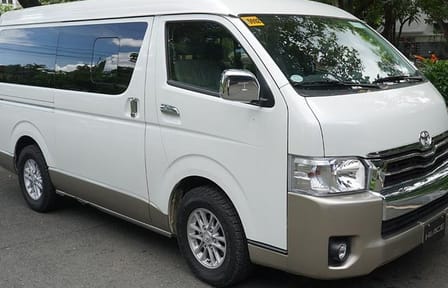 Puerto Princesa Port Sightseeing Excursion: city tour