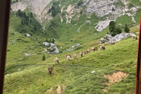Mt. Pilatus & Lake Lucerne Cruise Small Group Tour | From Zurich 9