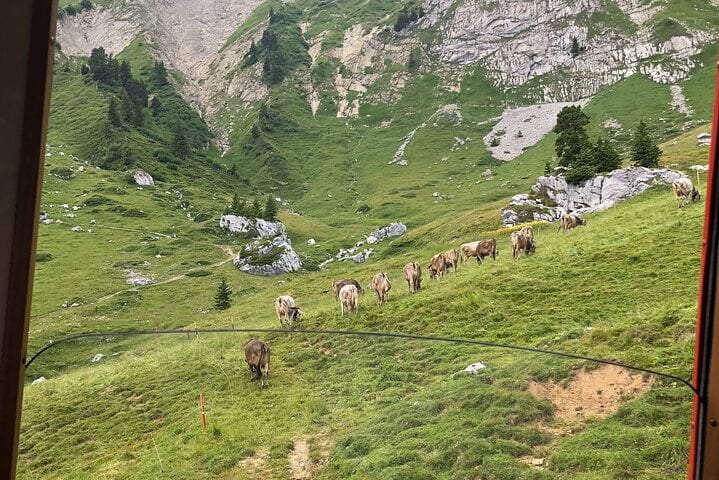 Mt. Pilatus & Lake Lucerne Cruise Small Group Tour | From Zurich 9