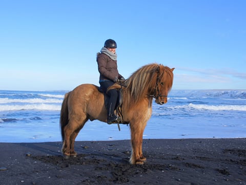 The Seaside tour, photo 9