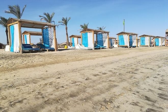 Private Abu Dabbab Snorkeling with Turtles &amp; Transfer - Hurghada