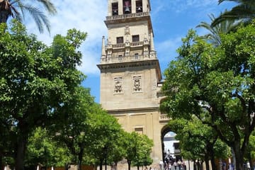 Córdoba Walking Tour: Roman Bridge, Alcazar & Mosque Cathedral
