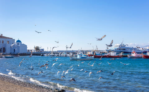 Mykonos-Island tour for cruise travelers (small group)