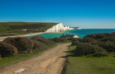 South Downs and White Cliffs Day Tour from London