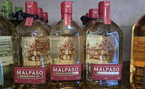 Private Wine Tour in Maipo Valley from Santiago
